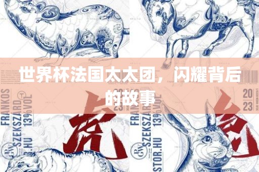 世界杯法国太太团，闪耀背后的故事漯河市盈旭机械设备有限公司