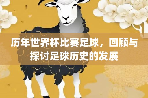 历年世界杯比赛足球，回顾与探讨足球历史的发展