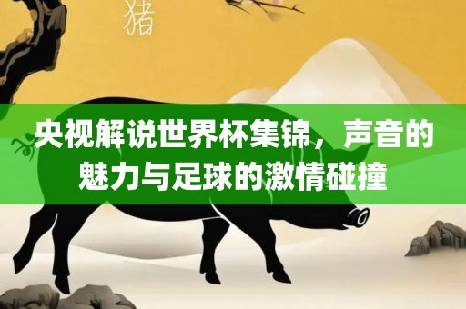 央视解说世界杯集锦，声音的魅力与足球的激情碰撞