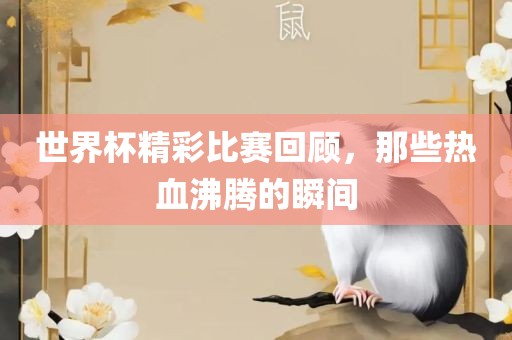世界杯精彩比赛回顾，那些热血沸腾的瞬间