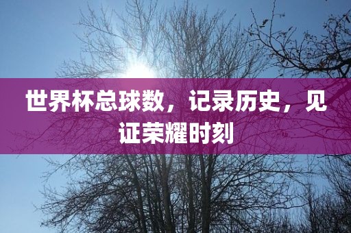 世界杯总球数，记录历史，见证荣耀时刻