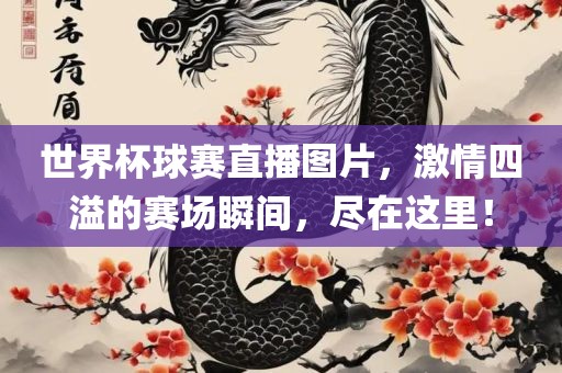 世界杯球赛直播图片，激情四溢的赛场瞬间，尽在这里！