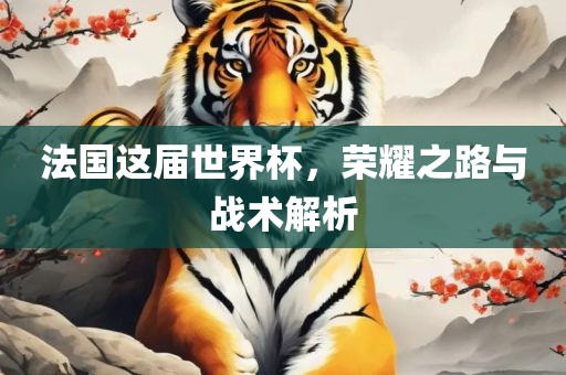 法国这届世界杯，荣耀之路与战术解析