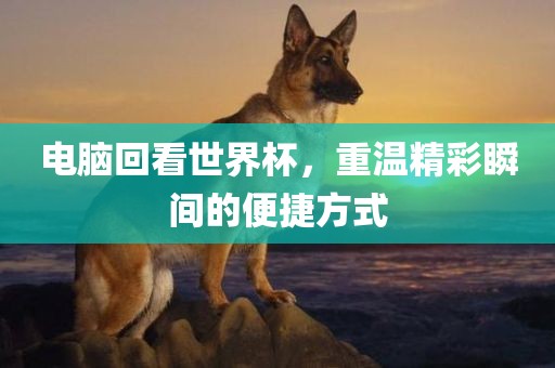 重温精彩瞬间