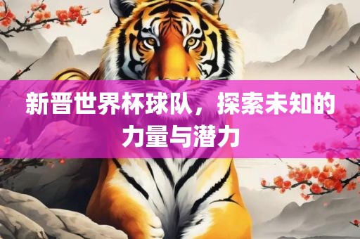 新晋世界杯球队，探索未知的力量与潜力