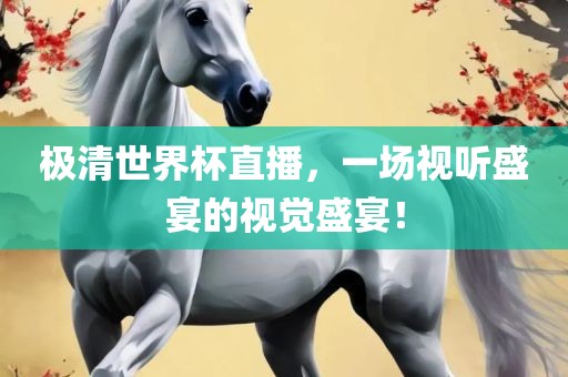 极清世界杯直播，一场视听盛宴的视觉盛宴！