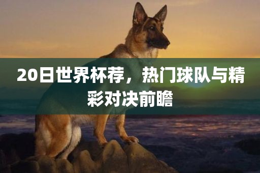20日世界杯荐，热门球队与精彩对决前瞻