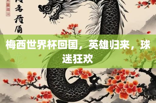 梅西世界杯回国，英雄归来，球迷狂欢