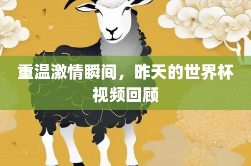 重温激情瞬间，昨天的世界杯视频回顾