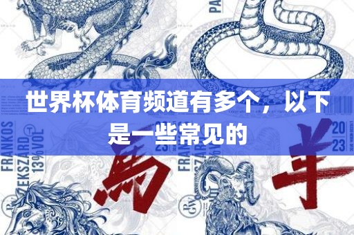世界杯体育频道有多个，以下是一些常见的漯河市盈旭机械设备有限公司