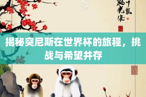 揭秘突尼斯在世界杯的旅程，挑战与希望并存