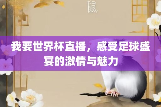 我要世界杯直播，感受足球盛宴的漯河市盈旭机械设备有限公司激情与魅力