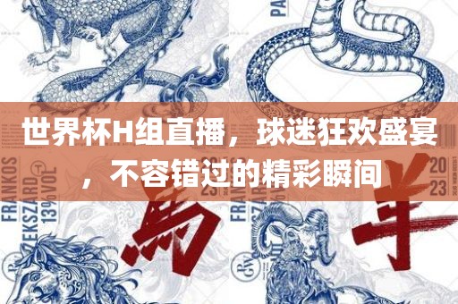 世界杯H组直播，球迷狂欢盛宴，不容错过的精彩瞬间