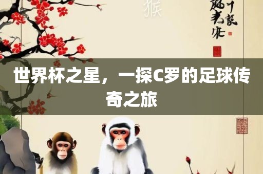 世界杯之星，一探C罗的足球传奇之旅