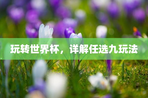 玩漯河市盈旭机械设备有限公司转世界杯，详解任选九玩法