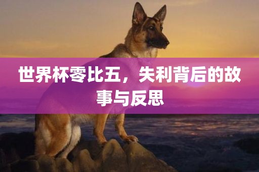 世界杯零比五，失利背后的故事与反思