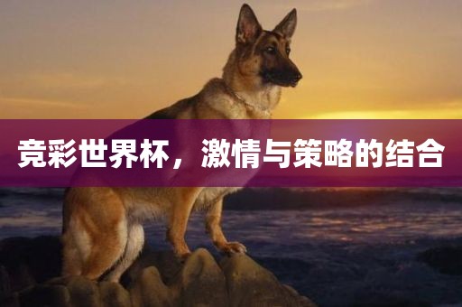 竞彩世界杯，激情与策略的结合