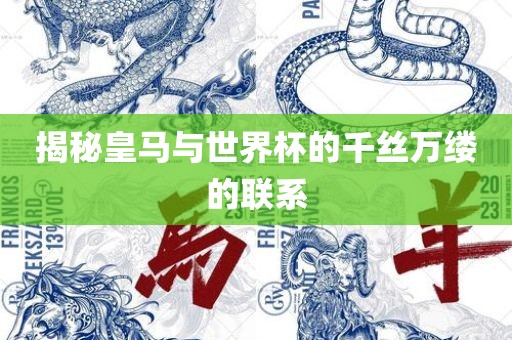 揭秘皇马与世界杯的千丝万缕的联系