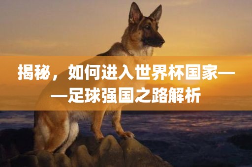 揭秘，如何进入世界杯国家——足球强国之路解析