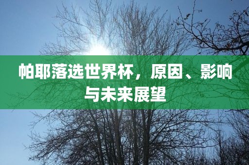 帕耶落选世界杯，原因、影响与未来展望