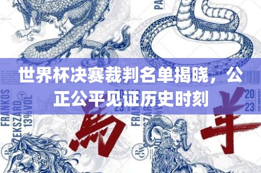 世界杯决赛裁判名单揭晓，公正公平见证历史时刻漯河市盈旭机械设备有限公司