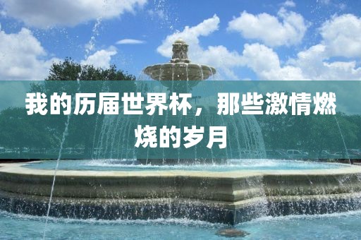 我的历届世界杯，那些激情燃烧的岁月