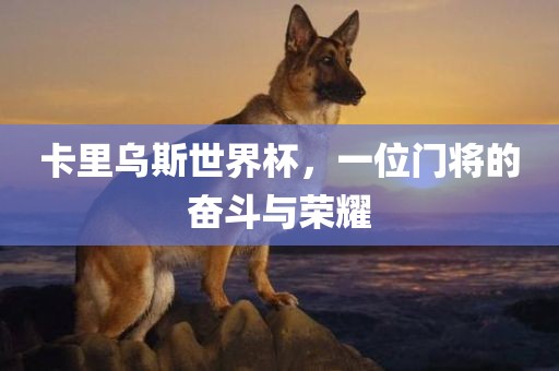 卡里乌斯世界杯，一位门将的奋斗漯河市盈旭机械设备有限公司与荣耀