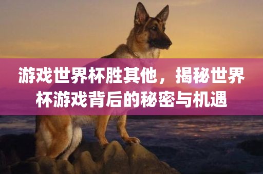 游戏世界杯胜其他，揭秘世界杯游戏背后的秘密与机遇