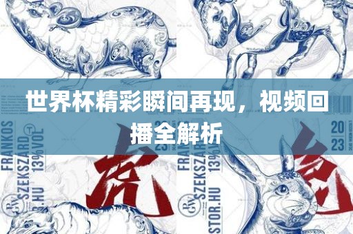 世界杯精彩瞬间再现，视频回播全解析