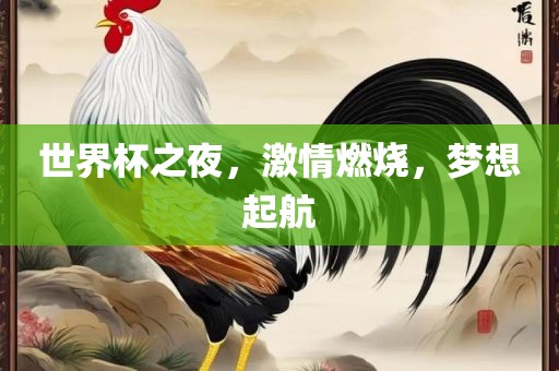 世界杯之夜，激情燃烧，梦想起航