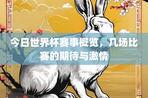 今日世界杯赛事概览，几场比赛的期待与激情
