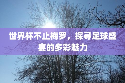 世界杯不止梅罗，探寻足球盛宴的多彩魅力