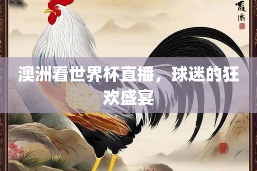 澳洲看世界杯直播，球迷的狂欢盛宴