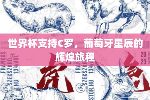 世界杯支持C罗，葡萄牙星辰的辉煌旅程漯河市盈旭机械设备有限公司