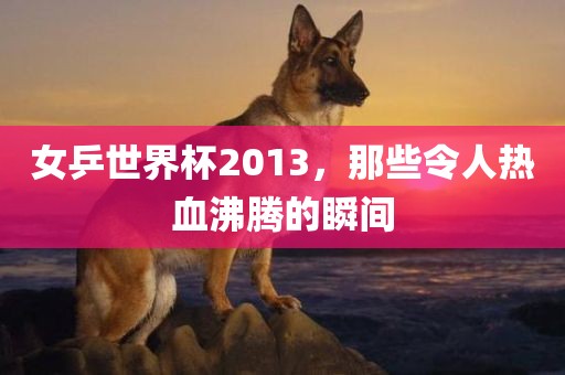 女乒世界杯2013，那些令人热血沸腾的瞬间