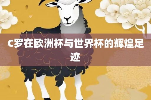 C罗在欧洲杯与世界杯的辉煌足迹漯河市盈旭机械设备有限公司
