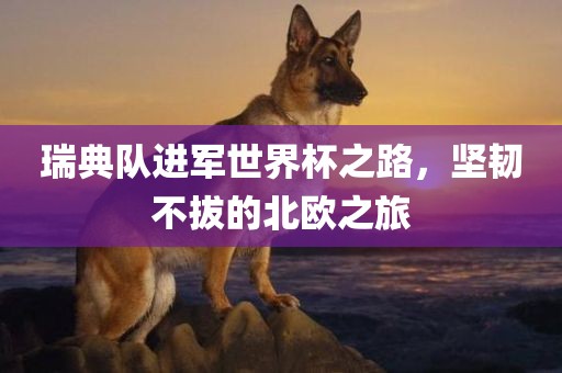 瑞典队进军世界杯之路，坚韧不拔的北欧之旅漯河市盈旭机械设备有限公司