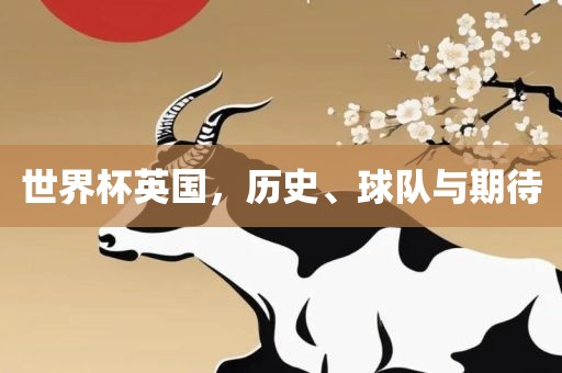 世界杯英国，历史、球队与期待