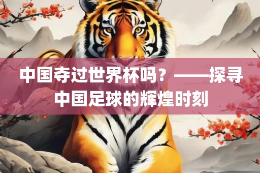 中国夺过世界杯吗？——探寻中国足球的辉煌时刻漯河市盈旭机械设备有限公司