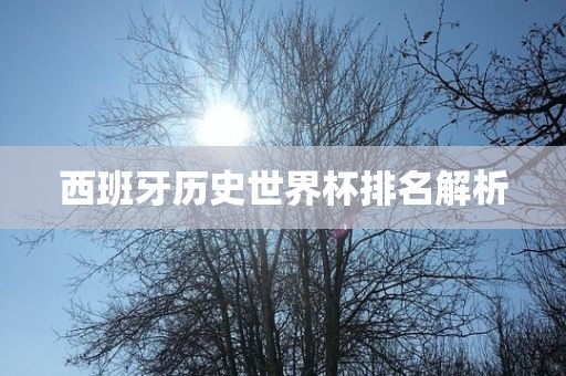西班牙历史世界杯排名解析