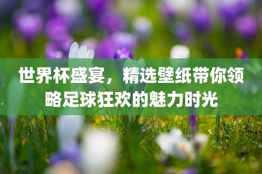 世界杯盛宴，精选壁纸带你领略足球狂欢的魅力时光