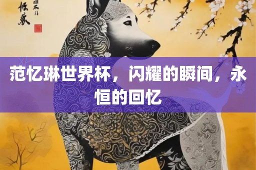 范忆琳世界杯，闪耀的瞬间，永恒的回忆