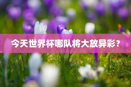 今天世界杯哪队漯河市盈旭机械设备有限公司将大放异彩？