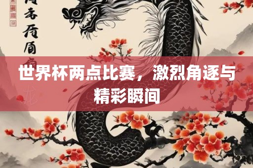 世界杯两点比赛，激烈角逐与精彩瞬间