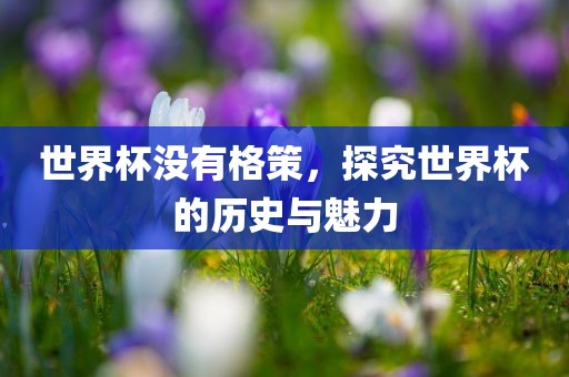 世界杯没有格策，探究世界杯的历史与魅力