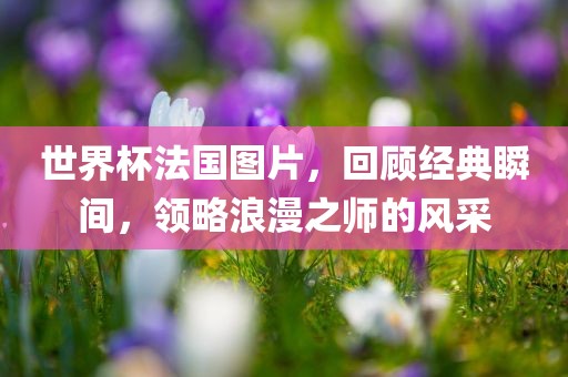 世界杯法国图片，回顾经典瞬间，领略浪漫之师的风采