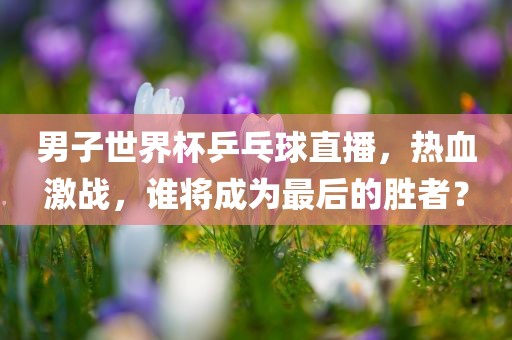 男子世界杯乒乓球直播，热血激战，谁将成为最后的胜者？