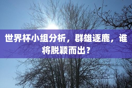 世界杯小组分析，群雄逐鹿，谁将脱颖而出？