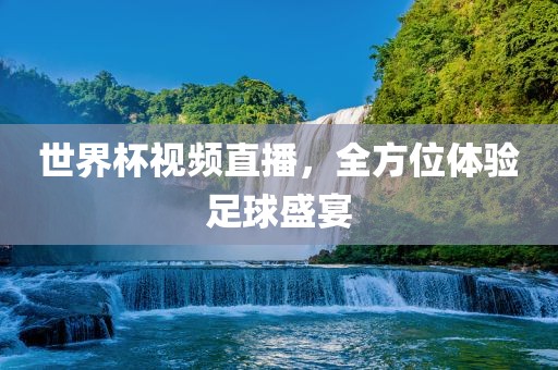 世界杯视频直播，全方位体验足球盛宴