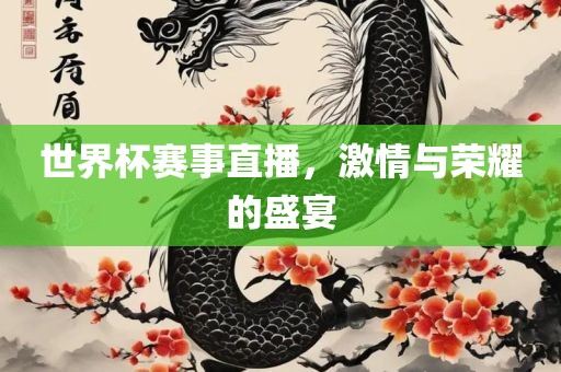 世界杯赛事直播，激情与荣耀的盛宴